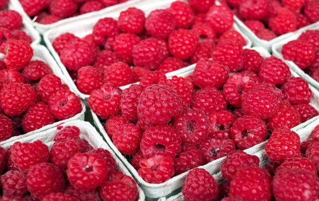 На українських ринках стрімко знизилась ціна на малину: скільки коштує ягода