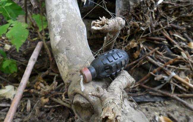 У Донецькій обл. з початку року близько 100 людей підірвалися на розтяжках, - МВС