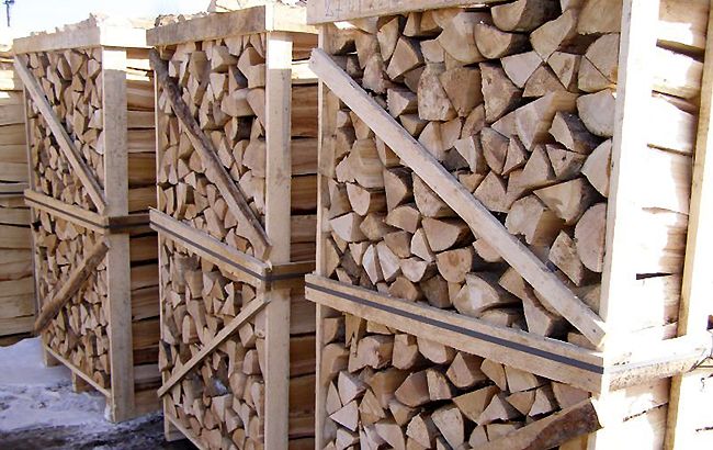 Комитет рекомендует Раде принять мораторий на экспорт топливных дров