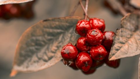 Свято 11 жовтня: що суворо заборонено робити, щоб не було біди