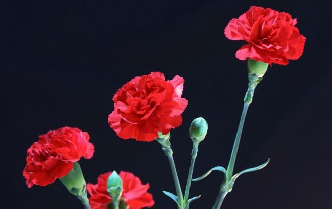 В Запорожье осквернили памятную доску добровольцам