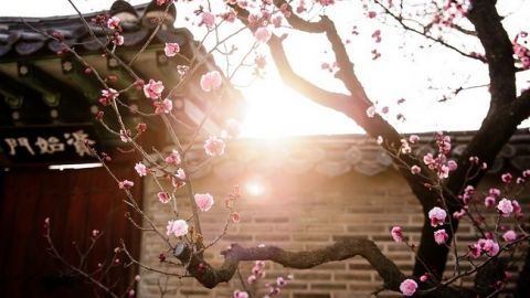 Підставте носи сонцю: синоптик дала сприятливий прогноз погоди на вихідні