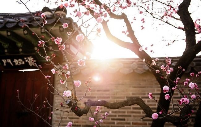 Підставте носи сонцю: синоптик дала сприятливий прогноз погоди на вихідні