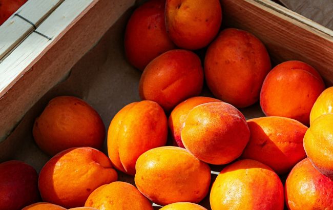 Сочный секрет лета: как выбрать идеальные абрикосы по цвету, запаху и мягкости