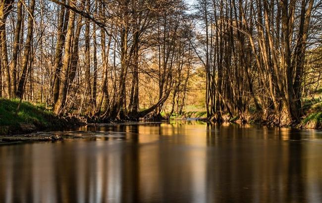 Праздник Федот Ветронос: по каким приметам можно предсказать погоду на лето