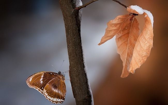 Очікуються дощі: синоптики дали невтішний прогноз погоди