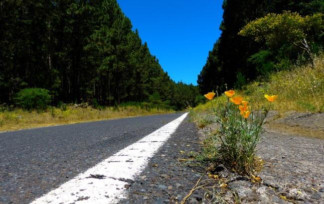 Жителі Черкаської області самостійно відремонтували дорогу