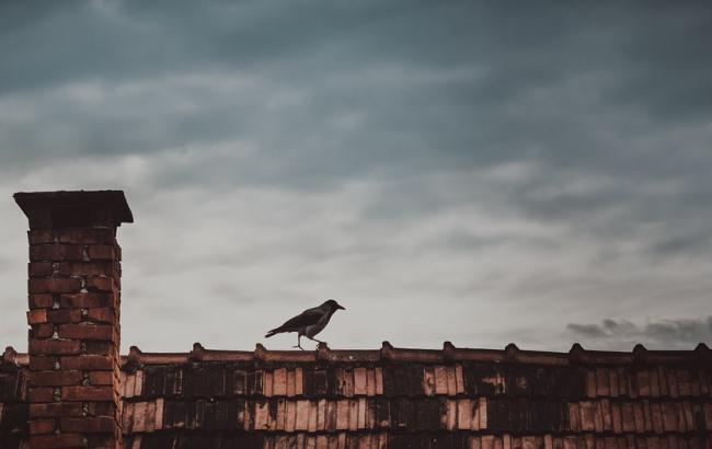 В Днепре 14 семей живут под дырявой крышей