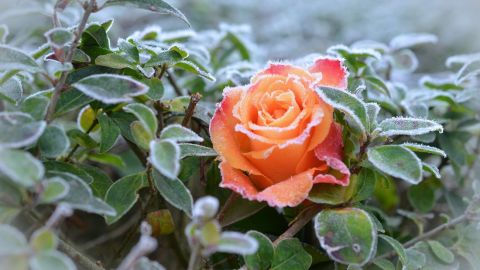 В Украине сильно испортится погода: синоптик показала новые карты