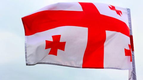 Дипломаты Польши, стран Балтии и Украины посетят Грузию с визитом солидарности