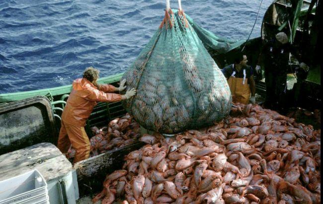 Вылов рыбы в Украине за 10 месяцев упал на 12,8%