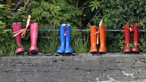 Готовьтесь к резким перепадам: синоптики дали прогноз погоды до конца недели