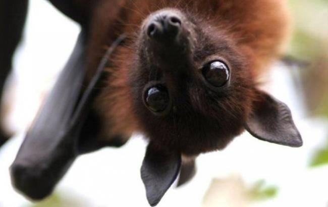 Афиша уикенда: чем заняться в Киеве 13-15 ноября