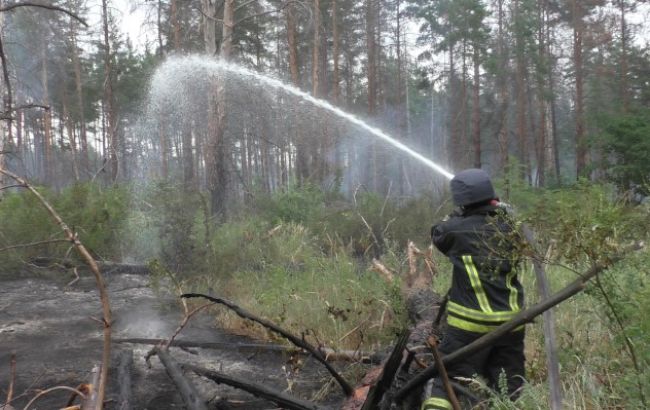 Пожар в заминированном лесу в Луганской области ликвидирован