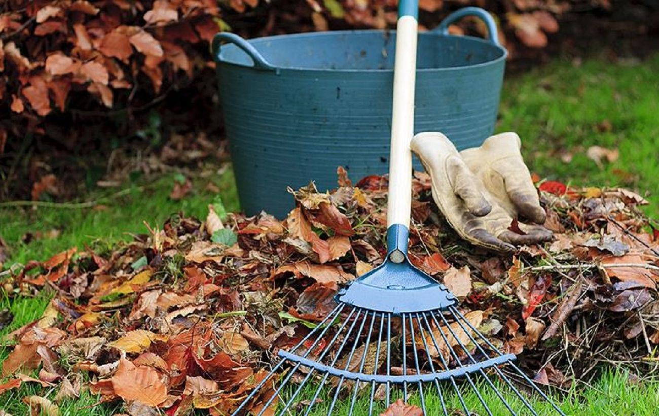 6 справ у саду, які треба завершити до початку грудня