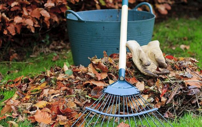 6 дел в саду, которые надо завершить до начала декабря