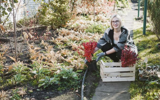 8 важных дел в саду до холодов: не откладывайте, чтобы весной не жалеть