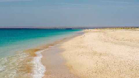 "Перетворюється на пустелю": в мережі показали наслідки найсильнішої посухи в Криму (відео)