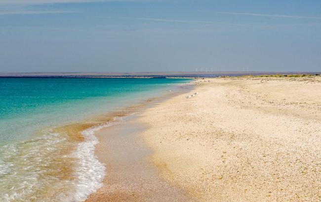 "Превращается в пустыню": в сети показали последствия сильнейшей засухи в Крыму (видео)