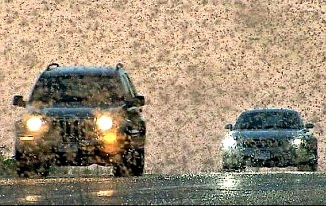 Нашествие саранчи на Россию: видео