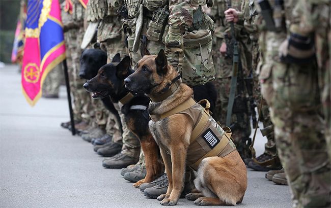 СБУ задержала в Запорожье боевика ЛНР