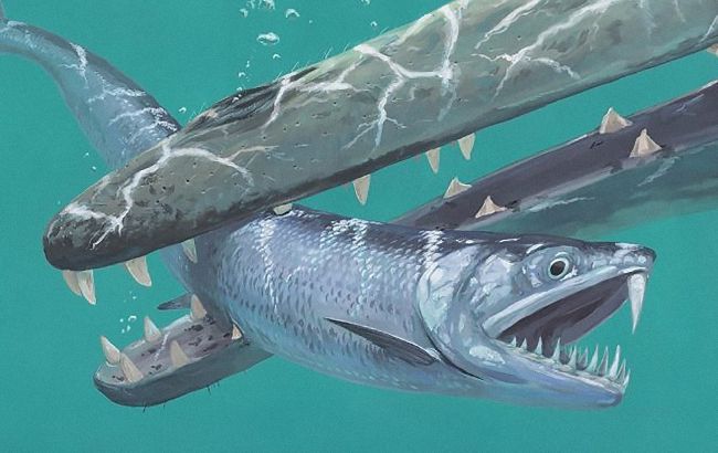 Анчоуси мільйони років тому були гігантськими шаблезубими хижаками: вчені зробили відкриття
