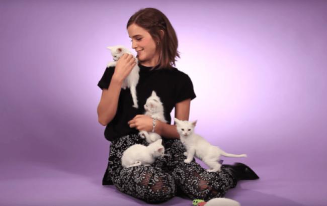 Емма Уотсон дала інтерв'ю в оточенні кошенят