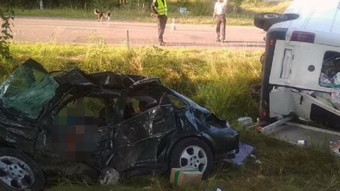 У Житомирській області в ДТП з мікроавтобусом загинули двоє людей