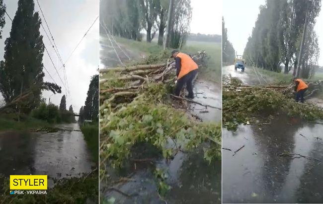 У Сумах буревій повалив дерева та заблокував транспорт: відео наслідків негоди