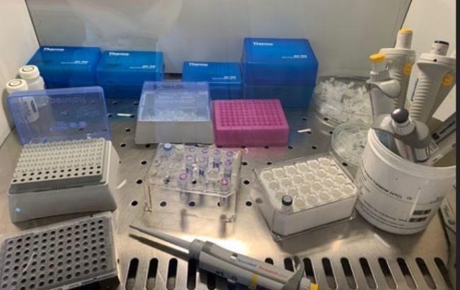 ПЦР-тесты на коронавирус доставят в лаборатории Украины до конца дня