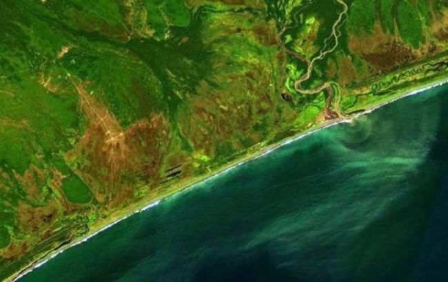 Загрязнения на Камчатке: ученые заявили о гибели 95% обитателей морского дна в бухте