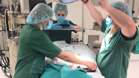 Народився вагою 1 кг: в Києві провели операцію на серці новонародженого малюка