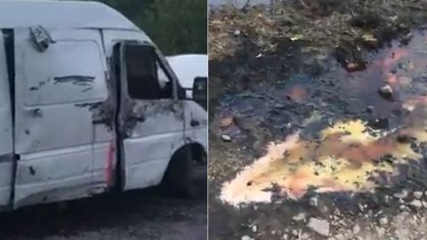 Небезпечна отрута потрапила в річку під Києвом: нові подробиці НП (відео)