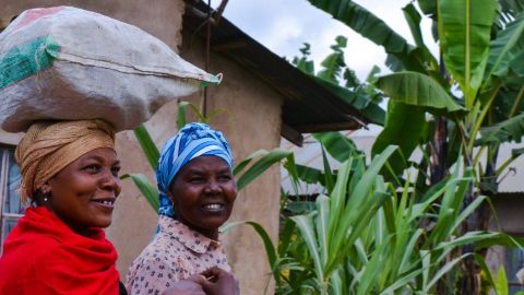 Из-за неизвестной инфекции в Танзании умерли 15 человек, еще 50 в больнице