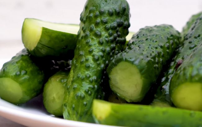 Малосольные огурцы в пакете за 6 часов: самый быстрый способ засолки