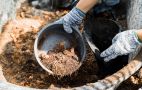 Что положить в компост осенью: эти отходы с участка не следует выбрасывать