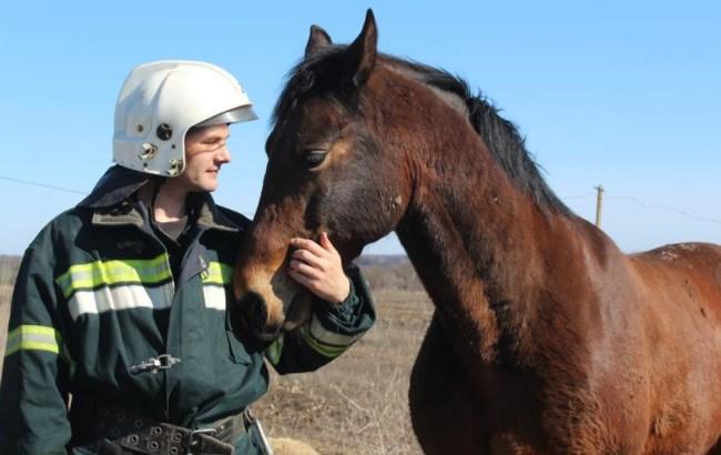 При пожаре в Полтавской области погиб человек, а конь чудом спасся