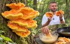Трутовик сірчано-жовтий: як знайти в лісі гриб, схожий на куряче м'ясо, і правильно його приготувати