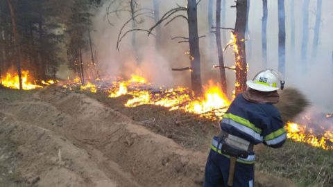 В Житомирской области вспыхнул новый лесной пожар