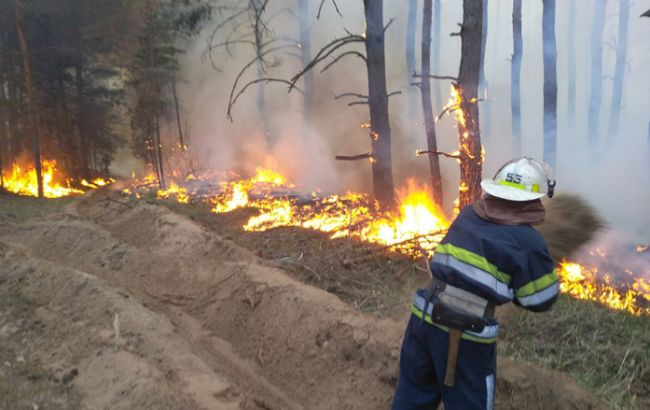 У Житомирській області спалахнула нова лісова пожежа
