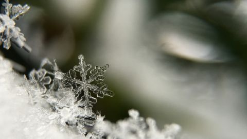 Образование снежинок показали в сказочном видео: кадры вас заворожат