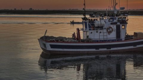 У берегов Японии рыболовецкое судно столкнулось с российским, есть погибшие