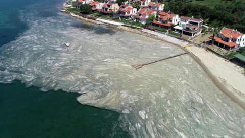 У Туреччині Мармурове море покрилося слизом: що це і чим загрожує