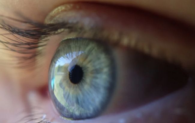 Ці "копійчані" продукти можуть запобігти проблемам із зором