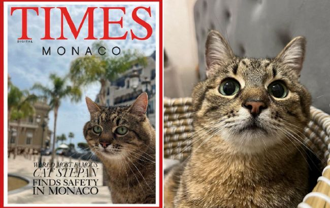 Кіт Степан став обличчям обкладинки журналу Times Monaco: милі фото