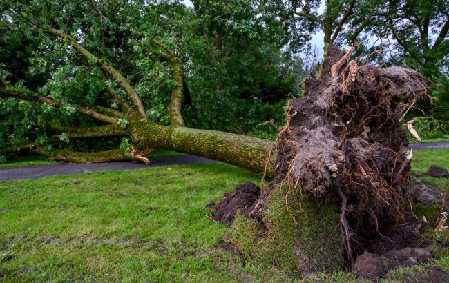 Через потужний шторм на Балканах загинули щонайменше 5 людей