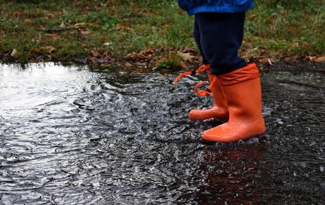 Синоптики: к концу недели дожди пройдут по всей Украине