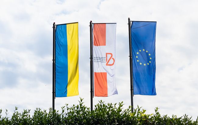 Во "Владимир-Волынской птицефабрике" отреагировали на обвинения в искусственном банкротстве