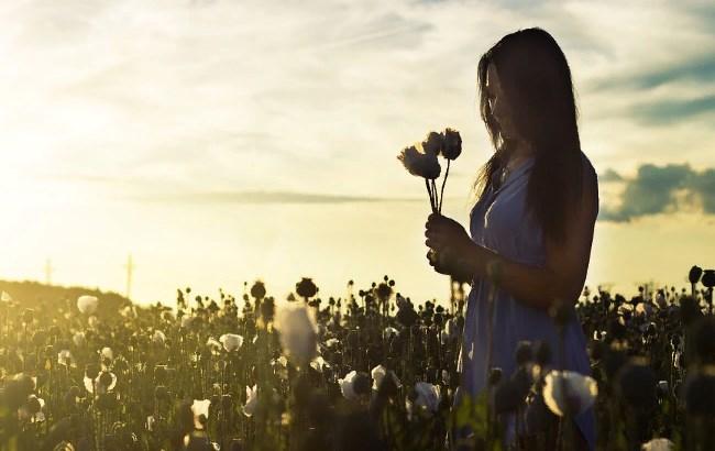 Солнце и комфортное тепло: синоптики дали прогноз погоды на понедельник