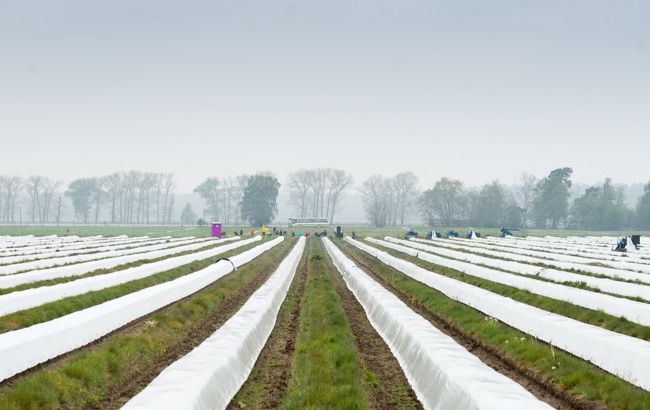 Германия продлила разрешение на въезд сезонных работников